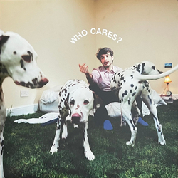 Rex Orange County Who Cares? Vinyl LP USED