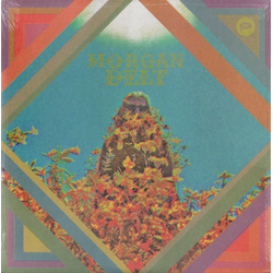 Morgan Delt Morgan Delt Vinyl LP USED