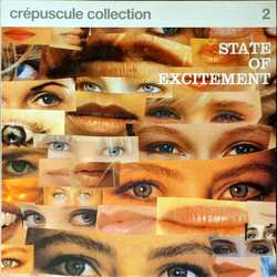 Various State Of Excitement (Crépuscule Collection 2) Vinyl LP USED