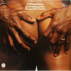 O'Donel Levy Everything I Do Gonna Be Funky Vinyl LP USED