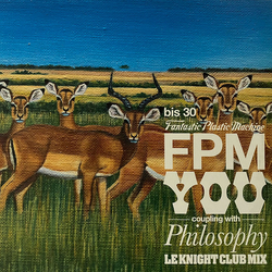 Fantastic Plastic Machine You Vinyl 12" USED