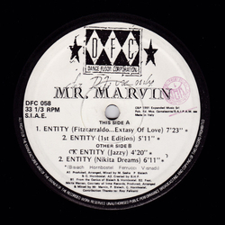 Mr. Marvin Entity Vinyl 12" USED
