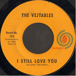 The Vejtables I Still Love You Vinyl 7" USED