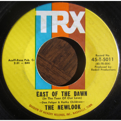 The Newlook East Of The Dawn / What Did You Take Me For Vinyl 7" USED