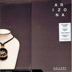 Arizona (12) Gallery Vinyl LP USED