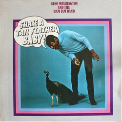 Geno Washington & The Ram Jam Band Shake A Tail Feather Vinyl LP USED
