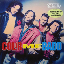 Color Me Badd C.M.B. Vinyl LP USED