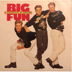 Big Fun A Pocketful Of Dreams Vinyl LP USED