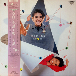Kyoko Koizumi 今日子の清く楽しく美しく / Kyoko Koizumi VIII Vinyl LP USED