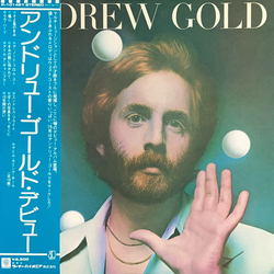 Andrew Gold Andrew Gold Vinyl LP USED