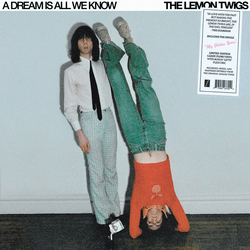The Lemon Twigs A Dream Is All We Know Multi Vinyl LP/Flexi-disc USED