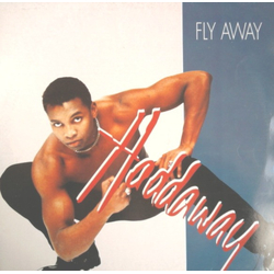 Haddaway Fly Away Vinyl 12" USED