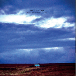 The Final Age New Hallucinations Vinyl LP USED