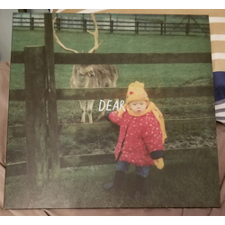 Cavetown Dear. Vinyl LP USED