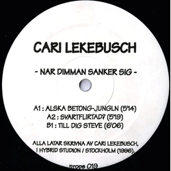 Cari Lekebusch Nar Dimman Sanker Sig Vinyl 12" USED