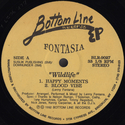 Fontasia Wildlife Vinyl 12" USED