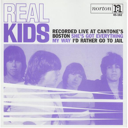 The Real Kids She's Got Everything Vinyl 7" USED