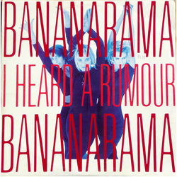 Bananarama I Heard A Rumour Vinyl 12" USED