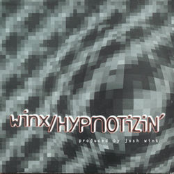 Josh Wink Hypnotizin' Vinyl 12" USED