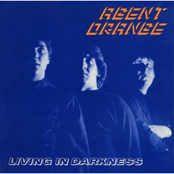 Agent Orange Brent Liles Living In Darkness Vinyl LP USED