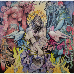 Baroness Stone Vinyl LP USED