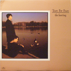 Tears For Fears The Hurting Vinyl LP USED