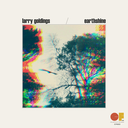 Larry Goldings Earthshine Vinyl LP USED