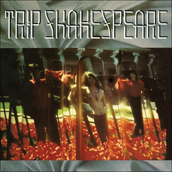 Trip Shakespeare Applehead Man Vinyl LP USED