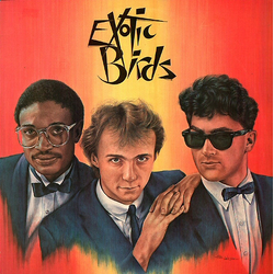 Exotic Birds Exotic Birds Vinyl 12" USED