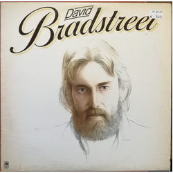David Bradstreet David Bradstreet Vinyl LP USED