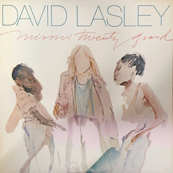 David Lasley Missin' Twenty Grand Vinyl LP USED