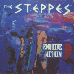 The Steppes Enquire Within Vinyl LP USED