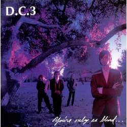 D.C. 3 You're Only As Blind As Your Mind Can Be Vinyl LP USED