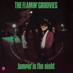 The Flamin' Groovies Jumpin' In The Night Vinyl LP USED