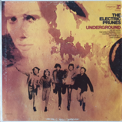 The Electric Prunes Underground Vinyl LP USED