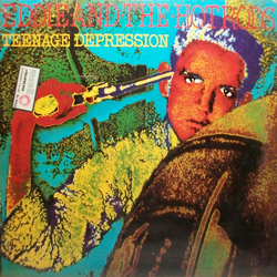 Eddie And The Hot Rods Teenage Depression Vinyl LP USED