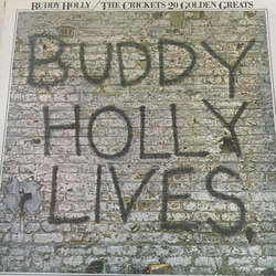 Buddy Holly / The Crickets (2) 20 Golden Greats Vinyl LP USED