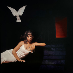 PinkPantheress Heaven Knows Vinyl LP USED
