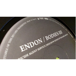 Endon Bodies III Vinyl 12" USED