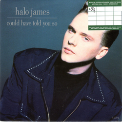 Halo James Could Have Told You So Vinyl 7" USED