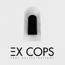 Ex Cops True Hallucinations Vinyl LP USED