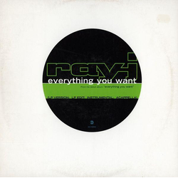 Ray J Everything You Want Vinyl 12" USED