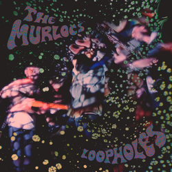 The Murlocs Loopholes Vinyl LP USED