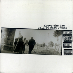 Above The Law Call It What U Want Vinyl 12" USED