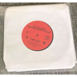 The Love Band / John Echols Are We Ok Vinyl 7" USED