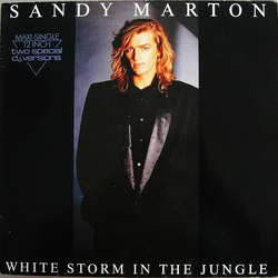 Sandy Marton White Storm In The Jungle (Two Special D.J. Versions) Vinyl 12" USED