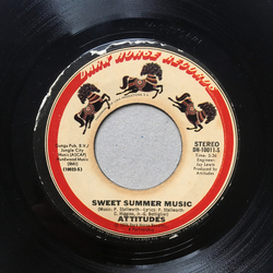 Attitudes Sweet Summer Music / If We Want To Vinyl 7" USED