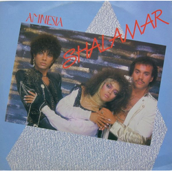 Shalamar Amnesia Vinyl 12" USED