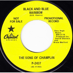 The Sons Of Champlin Black And Blue Rainbow Vinyl 7" USED