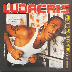 Ludacris / Shawnna What's Your Fantasy Vinyl 12" USED